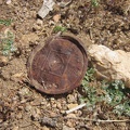 I must be near Pine Spring; here's an old rusty tobacco can lid