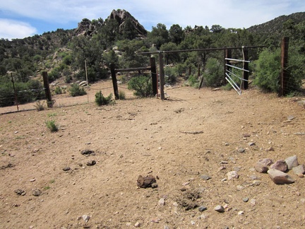The Pine Spring water trough is inside a corral, which is apparently still in use by cows