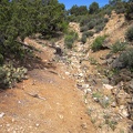 I've hiked two miles up Pine Spring Road, which ends here, so I climb a hill to get oriented for the day's off-trail hiking