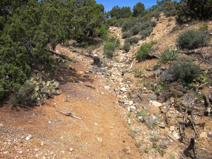 I've hiked two miles up Pine Spring Road, which ends here, so I climb a hill to get oriented for the day's off-trail hiking