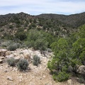 Atop the blackbrush hill, I check out the upward route ahead to the McCullough Mountains ridgeline