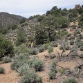 A rock outcrop atop the hill ahead is my next target