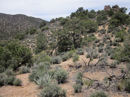 A rock outcrop atop the hill ahead is my next target