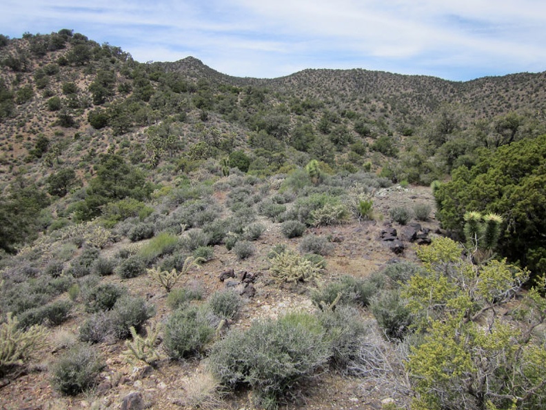 1800-mccullough-mountains.jpg