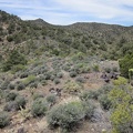 Now that I'm above the rock outcrop, I can see the next hill on my way up the McCullough Mountains