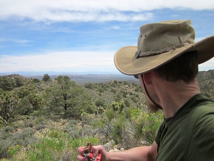 Time for another energy bar, already, on my way up into the McCullough Mountains