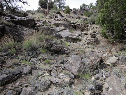This steep, rocky hillside in the McCullough Mountains provides good footing on the way up