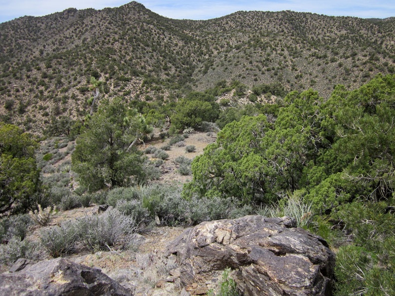  Finally, I reach a point from which the remainder of my route uphill is visible, following the rising ridge at centre-left