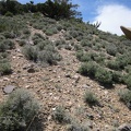 OK, climb up that hill, now!