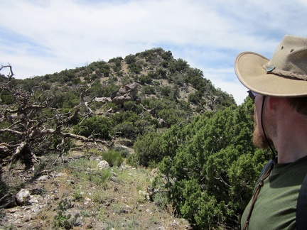 After climbing that last short steep hill... now the McCullough Mountains peak 6557 is right in front of me