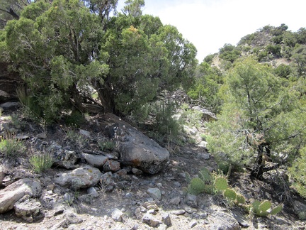 Almost there... Peak 6557 is that hill ahead to my right