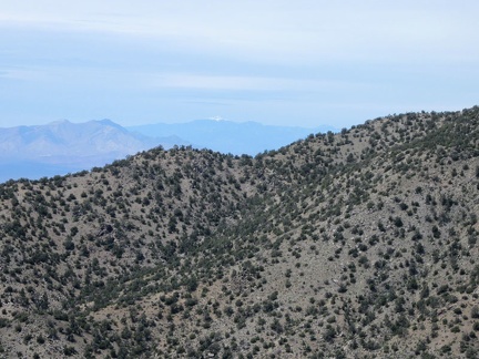 Looking way off into the distance, I can see a snow-capped mountain, which I presume is Charleston Peak near Las Vegas