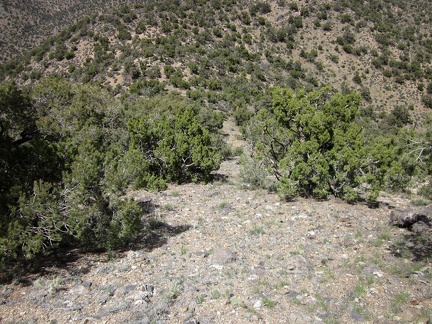 Once I get past the crazy, steep and rocky part at the beginning of the short descent, the rest is easy