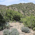 The next marked point on my hike today will be McCullough Mountains unnamed peak 6425, the high point just ahead