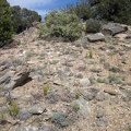 One last little climb up to McCullough Mountains Peak 6425