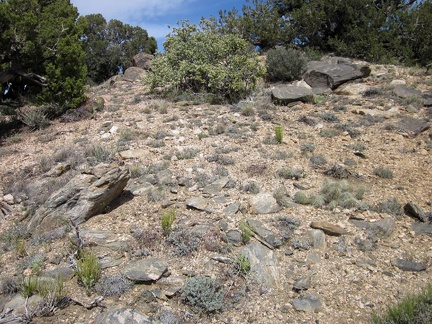 One last little climb up to McCullough Mountains Peak 6425