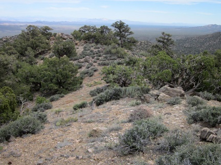  About 10 minutes later, I notice a hillside that might make for a good descent down to a wash