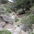 I start hiking down the rock-strewn wash, which is like a staircase in a few places