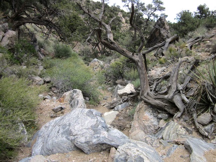 It's dry right now, but I can imagine a rush of water being funneled down this drainage during the wet season