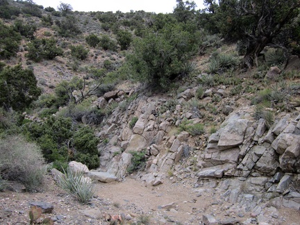 The wash continues to wind its way down from the McCullough Mountains