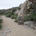 I'm seeing some footprints in the sand now as I get closer to the Pine Spring area