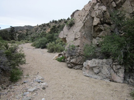 I'm seeing some footprints in the sand now as I get closer to the Pine Spring area