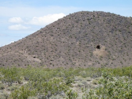 Coyote melon grows on the shoulder of Kelbaker Road just north of Kelso