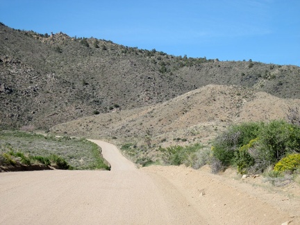 Once Cedar Canyon Road enters the Mid Hills, it drops down into Cedar Wash for a couple of miles