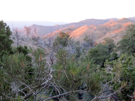 The usually ochre hills on the other side of Cedar Canyon Road, which I passed earlier, collect the day's pinkish orange rays