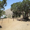 My campsite at Mid Hills Campground is the one with no motor vehicle parked out front