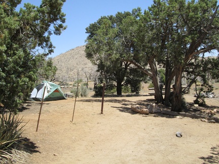 My campsite at Mid Hills Campground is the one with no motor vehicle parked out front