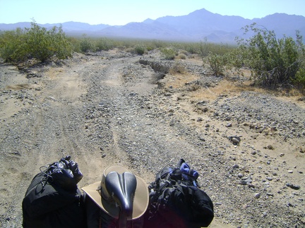 Looking behind me up Cornfield Spring Road toward Providence Mountains as I ride down the rough road to Kelso Depot