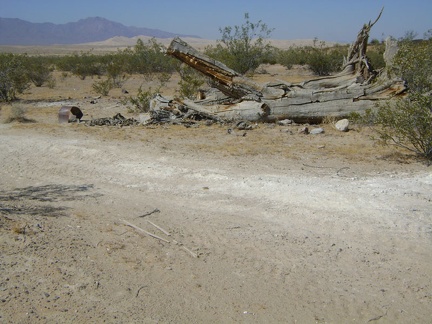 Dead tree along Cornfield Spring Road near Kelso Depot, with Kelso Dunes in the background