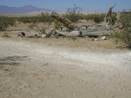 Dead tree along Cornfield Spring Road near Kelso Depot, with Kelso Dunes in the background