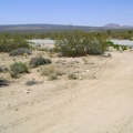 I pull in at the road to Chicken Water Spring and try my cell phone; it works here as hoped