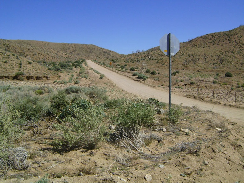 Black Canyon Road rises up from Cedar Canyon Road toward the Mid Hills, Mojave National Preserve