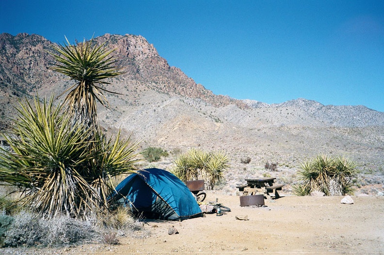 Late morning at my campsite at Providence Mountains State Recreation Area