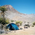 Late morning at my campsite at Providence Mountains State Recreation Area