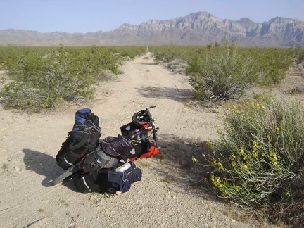 I choose the right (south) fork of Globe Mine Road