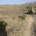 This clearing along the south fork of Globe Mine Road is obviously an old site of something and well-used