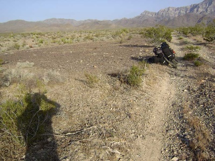 This clearing along the south fork of Globe Mine Road is obviously an old site of something and well-used