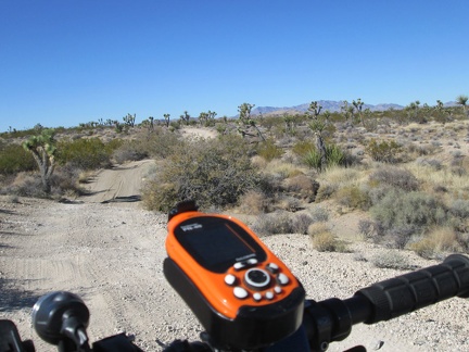 I like these little rollers on the Mojave Road