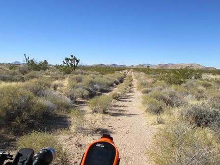 I decide to try this rarely used road, but it quickly degenerates, so I turn back and decide to follow the main road again