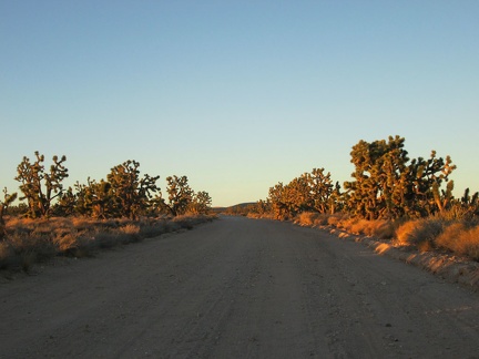 It's that great time of day in the desert when the sun starts to go down