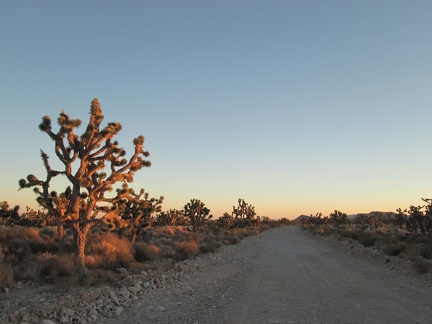 Looking behind me (south) on Ivanpah Road, the lighting is a bit pinker