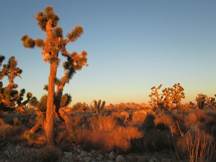 The sunset colors change subtly, minute by minute, at this time of day