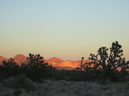 The orange light has just stopped lighting up the Joshua trees, but still casts a glow on the Castle Mountains over there