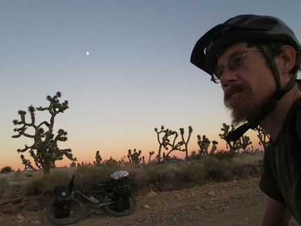 On the Ivanpah Road, the belt of Venus has become the defining light