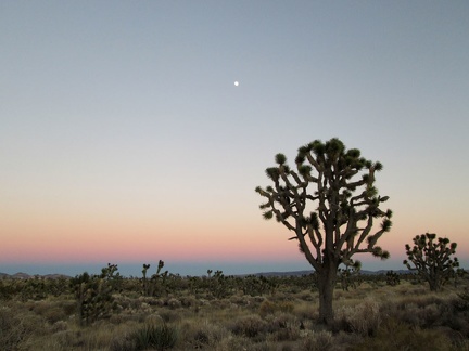 Five minutes later, the belt of Venus still persists, stolid, colorfast