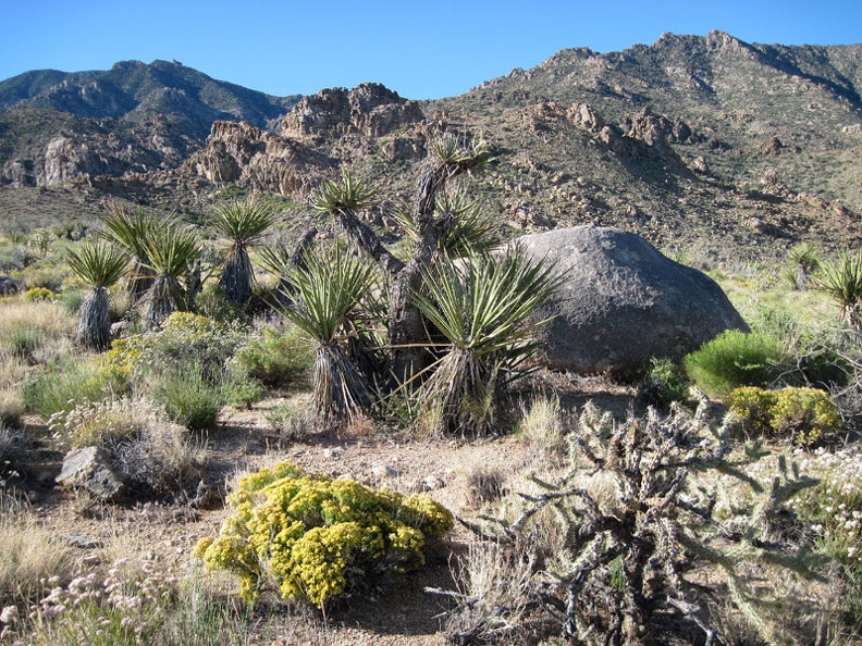 I wake up early and look outside to another warm sunny day: sadly, the final morning of this trip